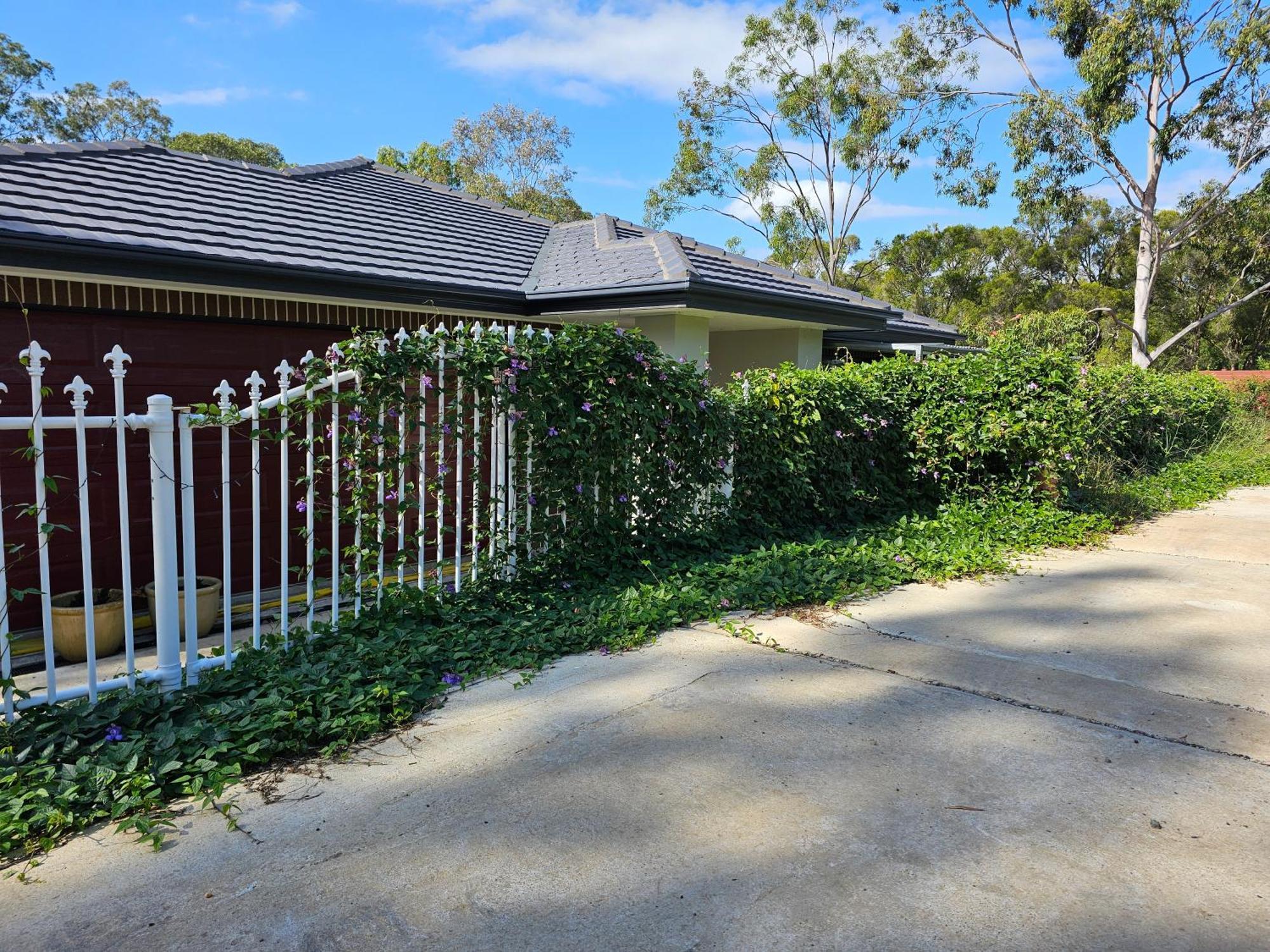 Gowrie Agapanthus Apartment Singleton Exterior foto